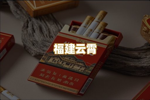 福建云霄